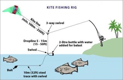 Kite Fishing Techniques