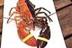 rare-lobster.jpg rare-lobster.jpg