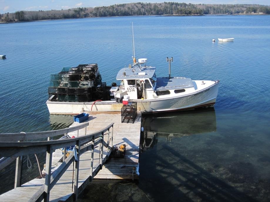 shrimping 2012 028.jpg shrimping 2012 028.jpg