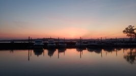 20250811_054103.jpg