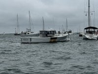 IMG_8279.jpeg