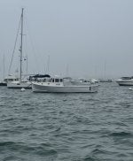 IMG_8275.jpeg